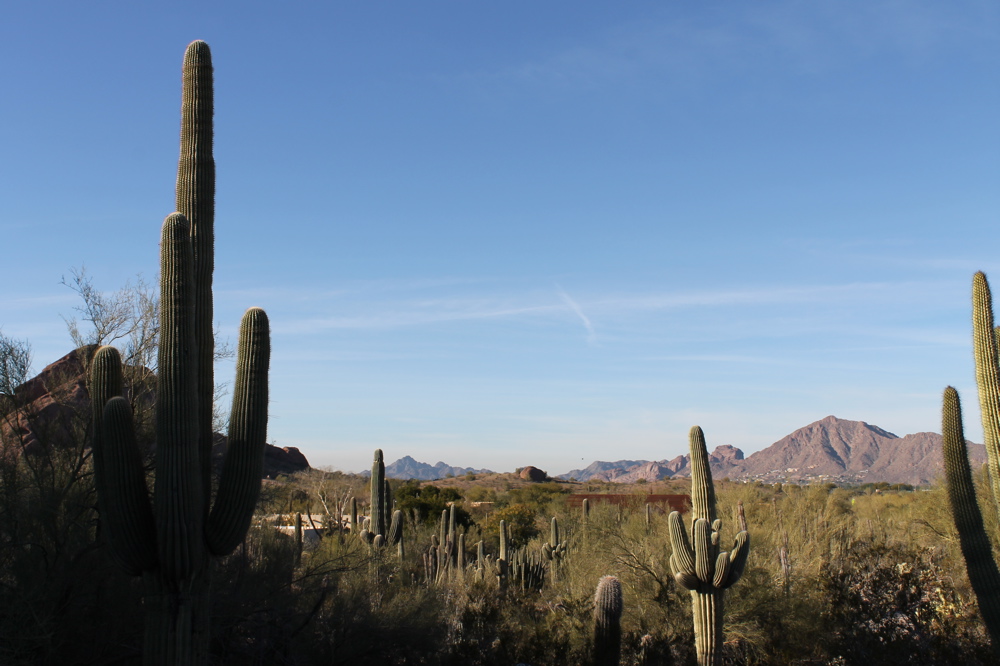 desert